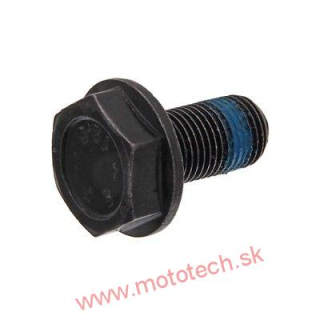 FEBI skrutka zotrvačníka  M10x1x19,5mm - N90501402